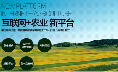 千亿蓝海 计算机技术驱动下的农村电商新突破